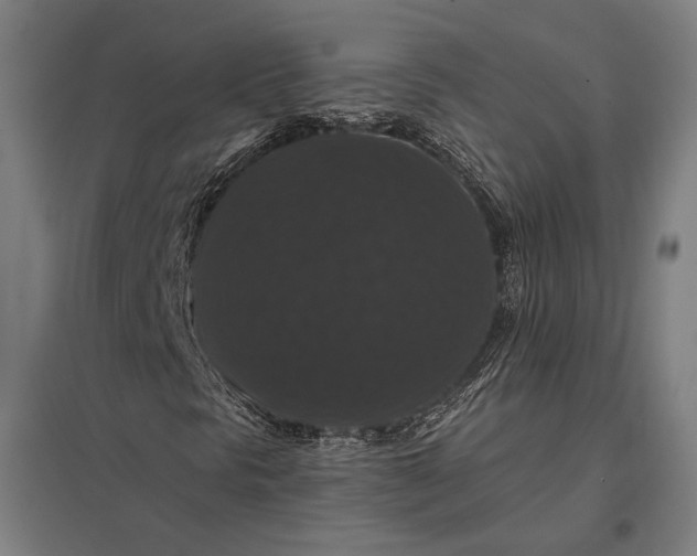 X0000097911297200803281353