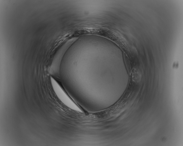 X0000097911298200803281353