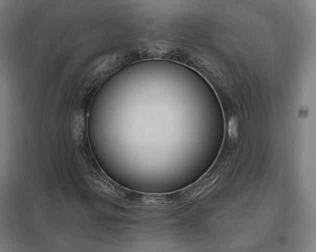 X0000097911299200803281353