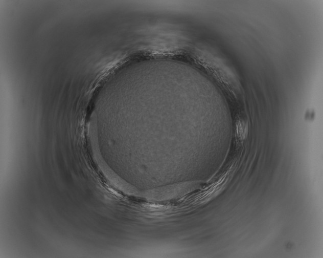 X0000097911300200803281353