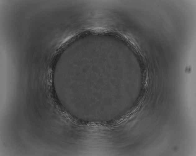 X0000097911301200803281353