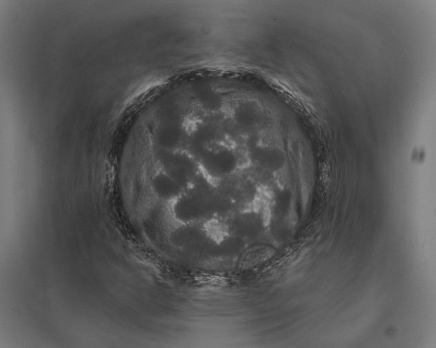 X0000097911302200803281353