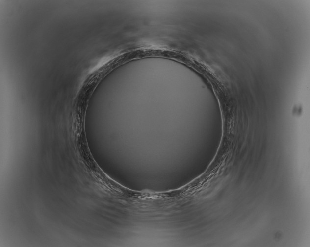 X0000097911303200803281353