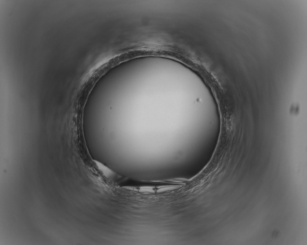 X0000097911304200803281353