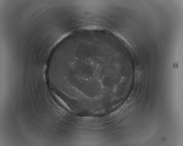 X0000097911305200803281353