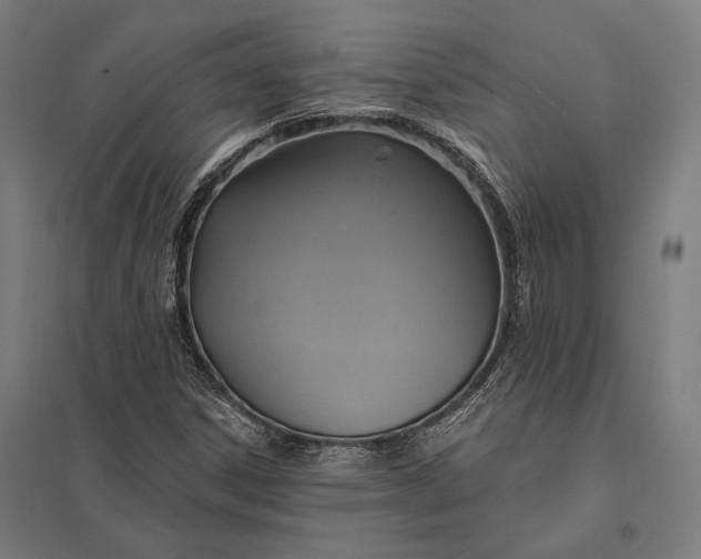 X0000097911306200803281353