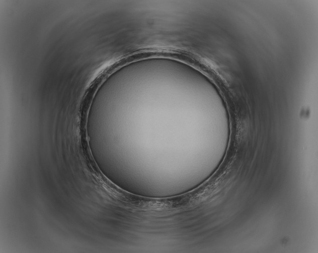 X0000097911307200803281353