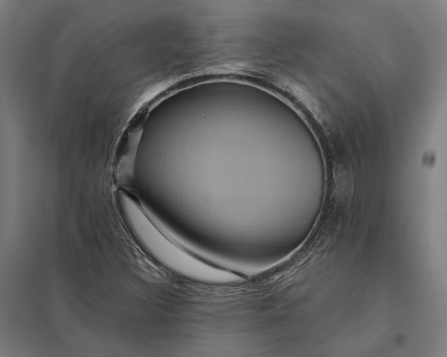 X0000097911308200803281353