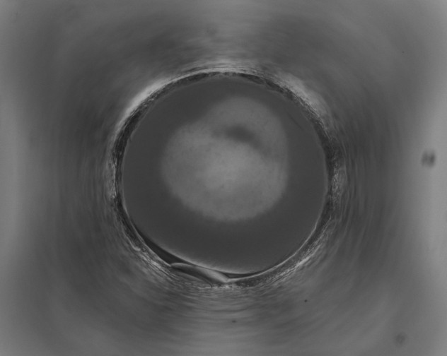 X0000097911310200803281353