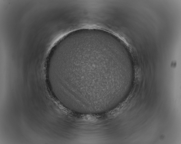 X0000097911311200803281353