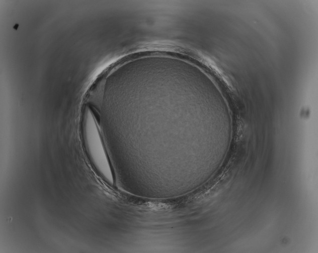 X0000097911312200803281353