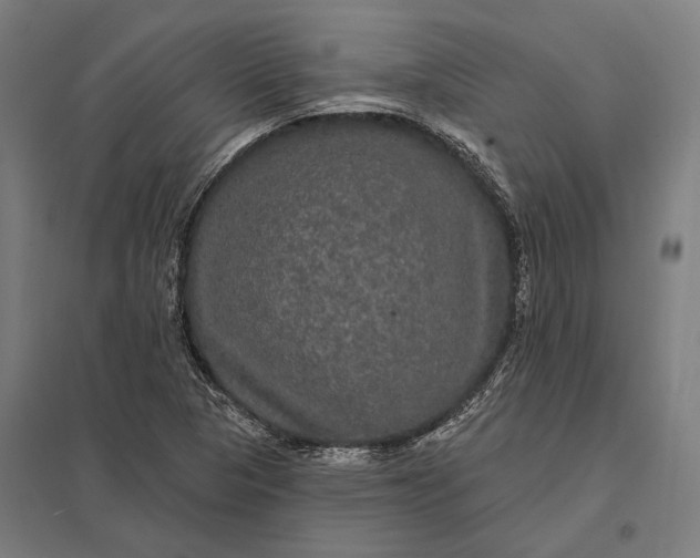 X0000097911313200803281353