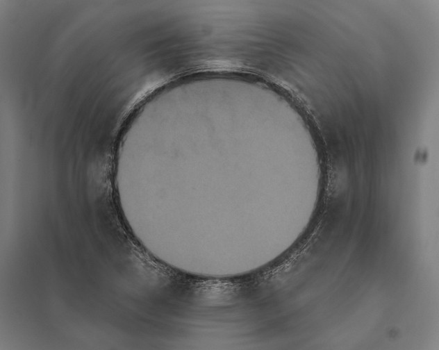 X0000097911314200803281353