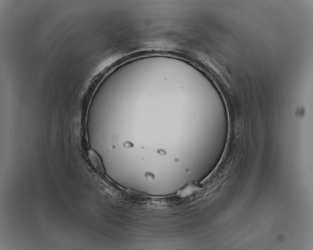 X0000097911315200803281353