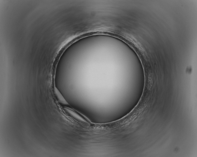 X0000097911316200803281353