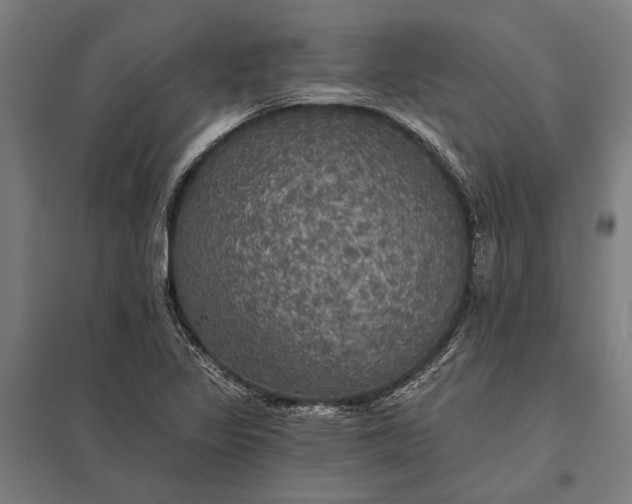 X0000097911317200803281353