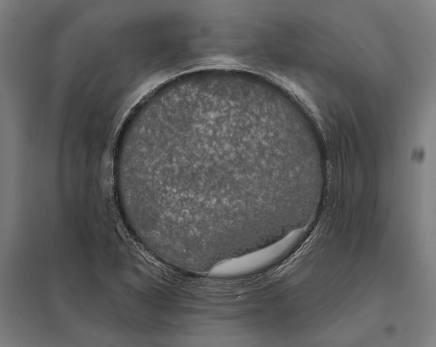 X0000097911318200803281353