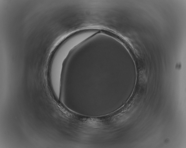 X0000097911319200803281353