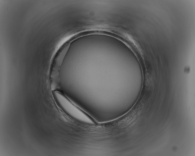 X0000097911320200803281353