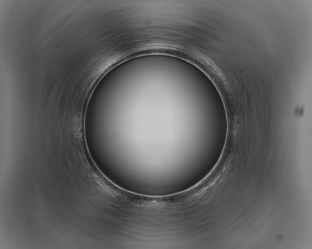 X0000097911321200803281353