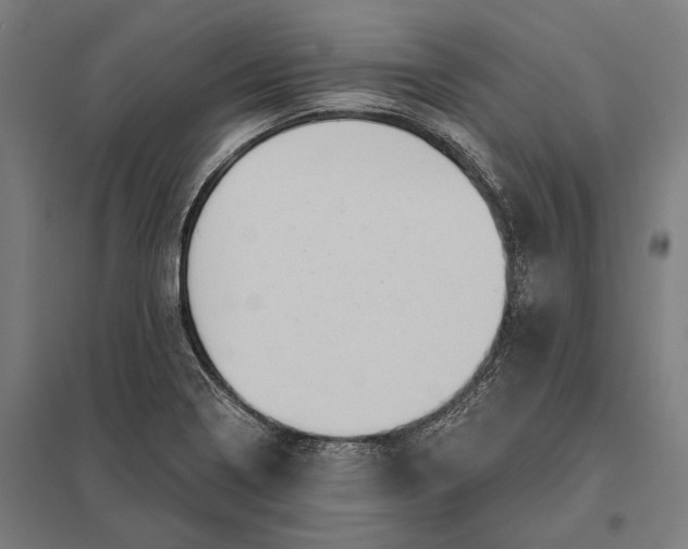 X0000097911322200803281353