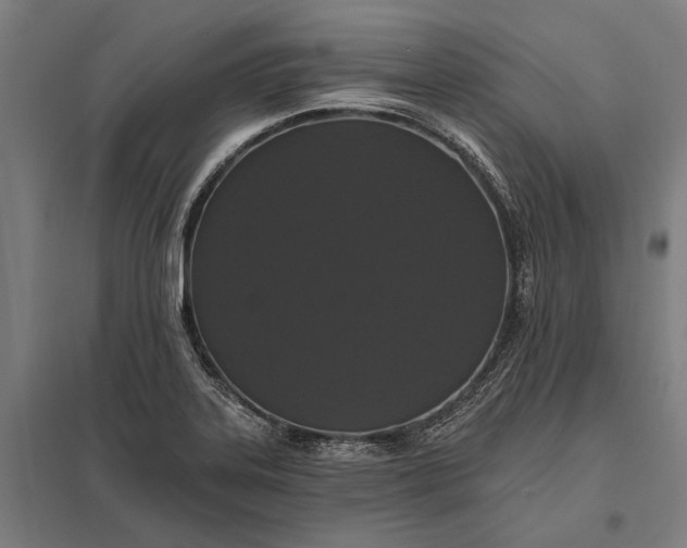 X0000097911323200803281353