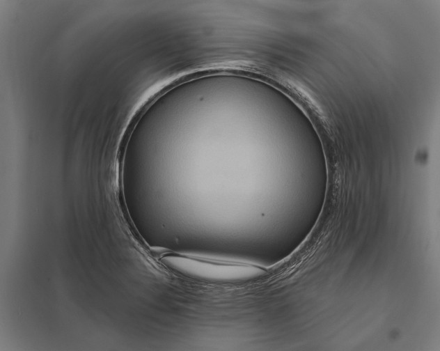 X0000097911324200803281353