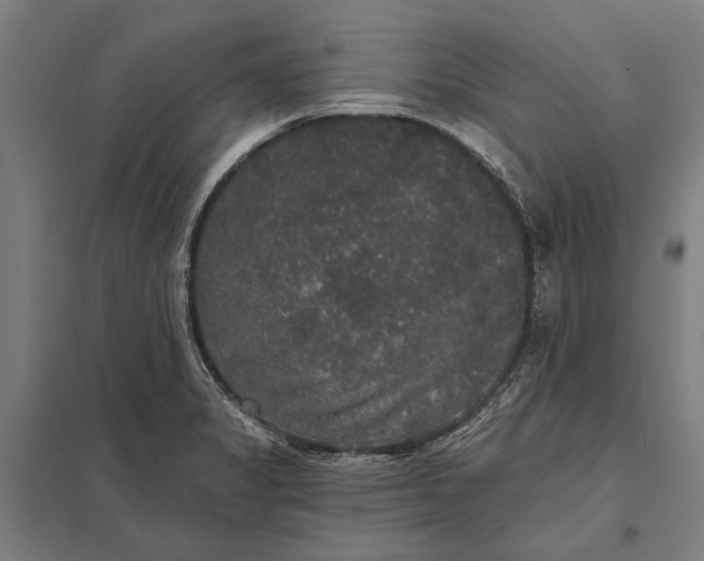 X0000097911325200803281353