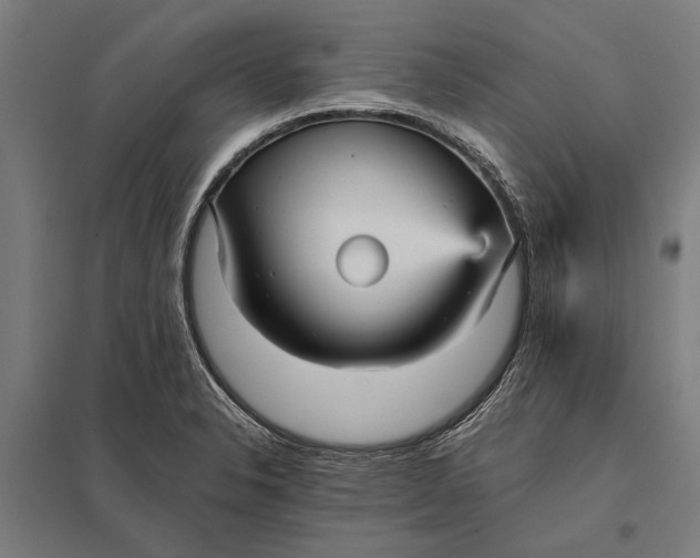 X0000097911326200803281353