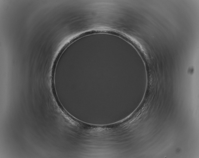 X0000097911327200803281353