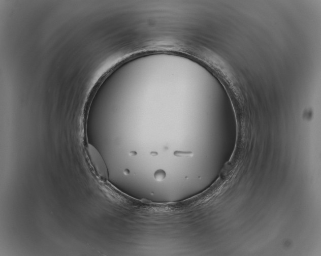 X0000097911328200803281353