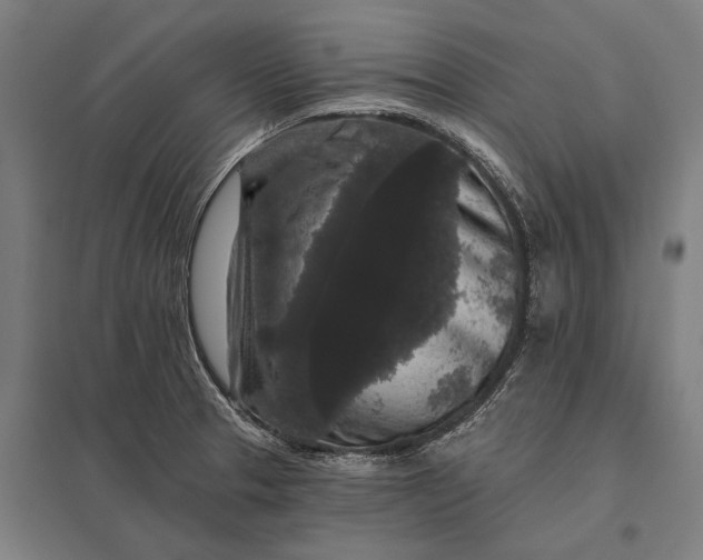 X0000097911329200803281353