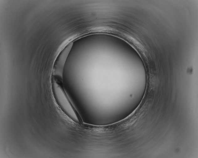 X0000097911330200803281353