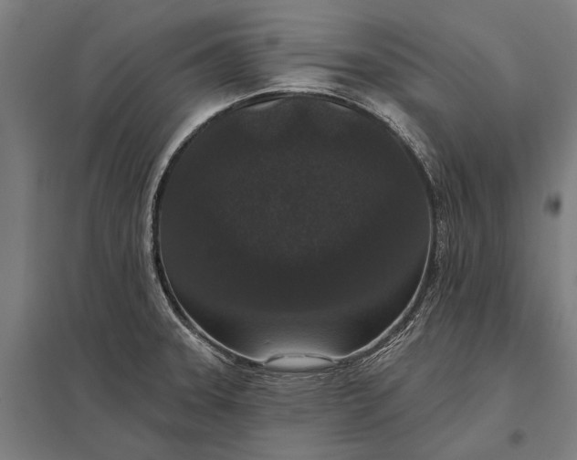 X0000097911331200803281353