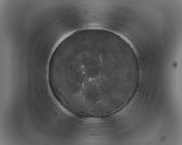 X0000097911333200803281353