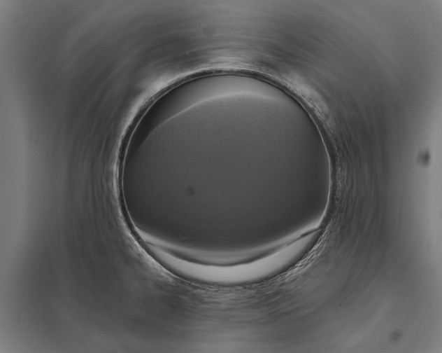 X0000097911334200803281353