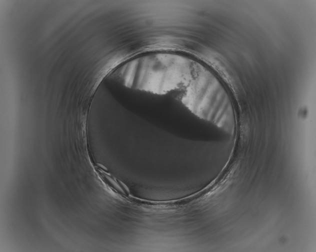 X0000097911337200803281353