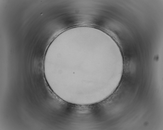 X0000097911338200803281353