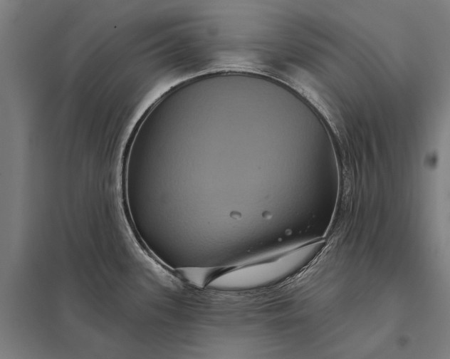 X0000097911339200803281353