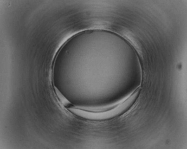 X0000097911340200803281353