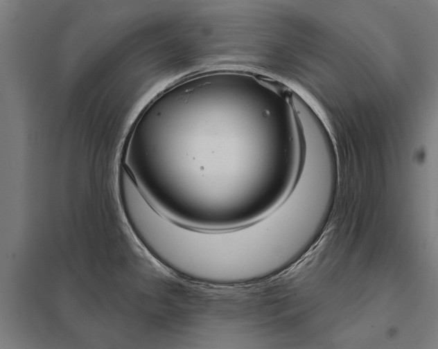 X0000097911341200803281353