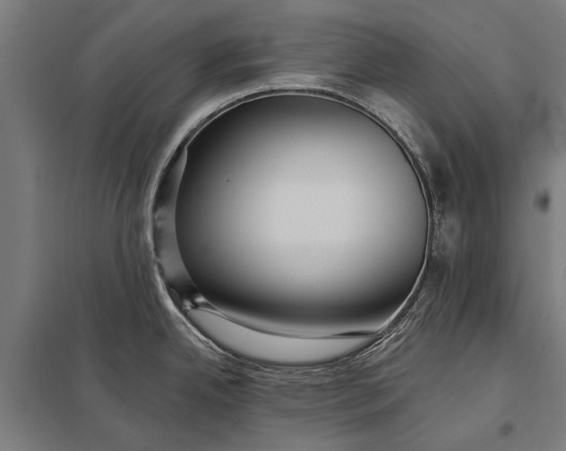 X0000097911342200803281353