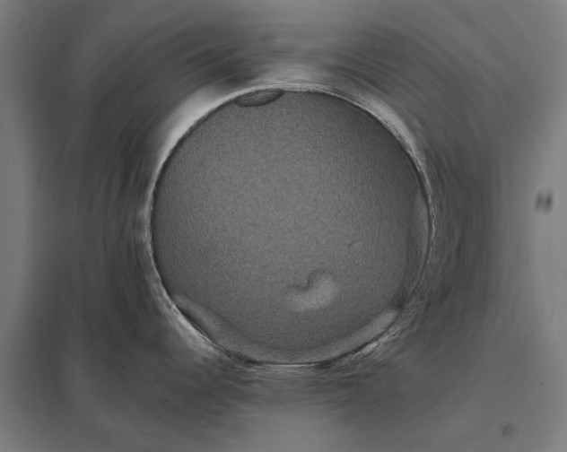 X0000097911344200803281353