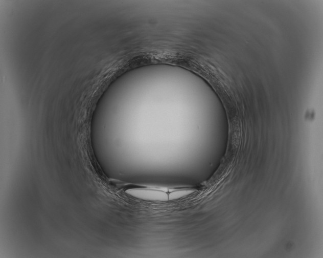 X0000097911345200803281353