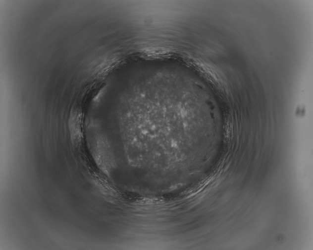 X0000097911346200803281353