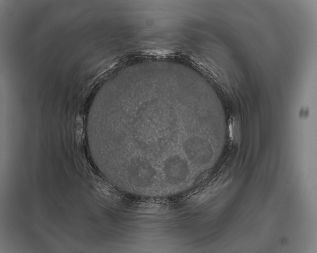 X0000097911347200803281353