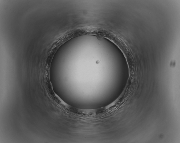 X0000097911349200803281353