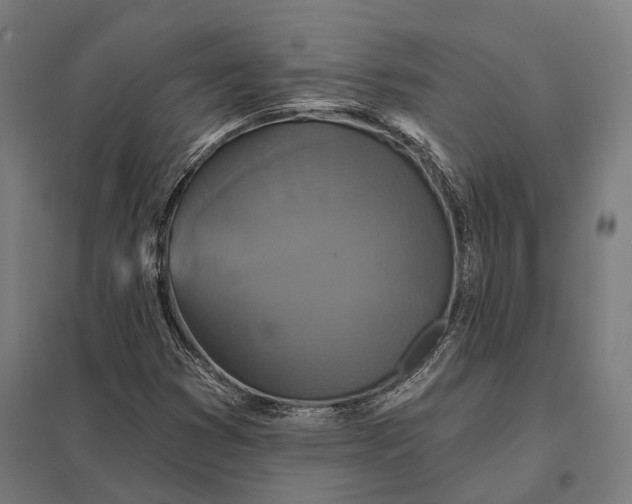 X0000097911353200803281353