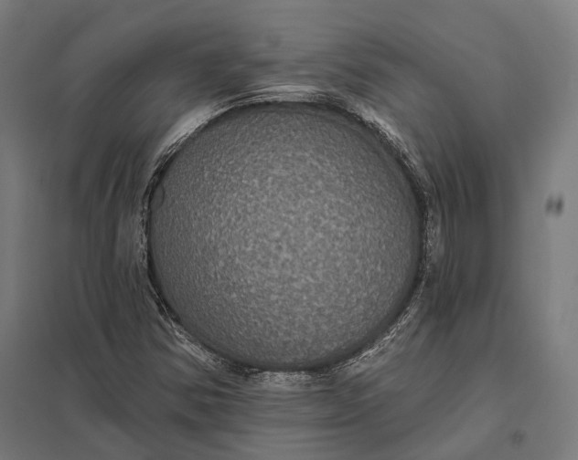 X0000097911354200803281353