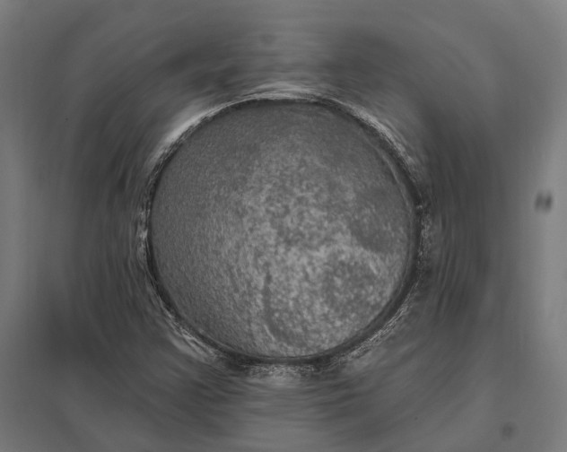 X0000097911355200803281353